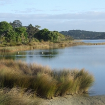 Lake Ngatu