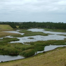 Lake Waihopo