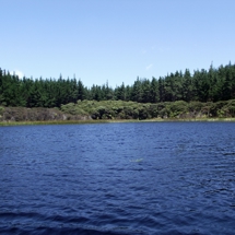 Lake Waipara
