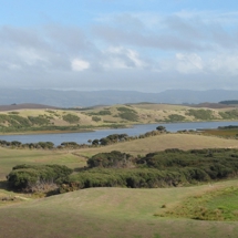 Lake Rotoroa