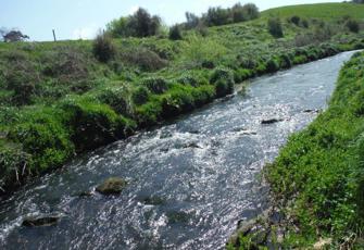 Mangawhero 200m d/s of railbridge