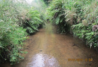 Mangakakahi