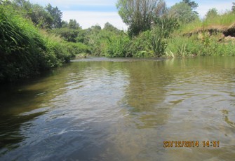 Ngongotaha at Paradise Valley Rd