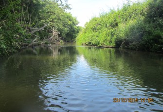 Ngongotaha at Hamurana Rd