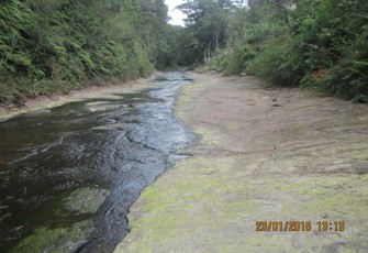 Ohaupara