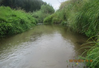 Ohineangaanga