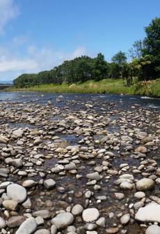 Waiwhakaiho River at Constance Street