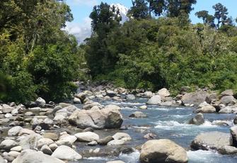 Waiwhakaiho river at National Park Boundary