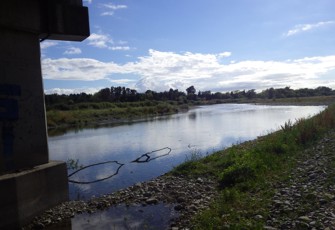 saleyards downstream