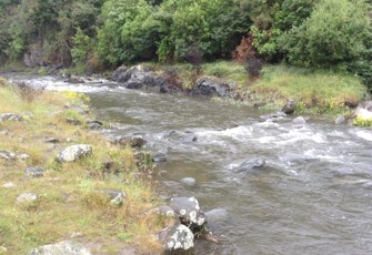 Waihi gorge