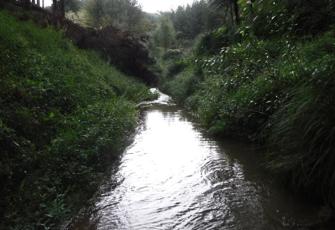 Tangahoe at Upper Valley