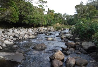 Waingongoro DS Nat. Park