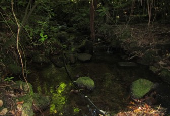 Waimoku at Lucy's Gully