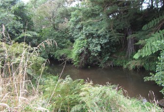 Waiokura at Skeet Rd