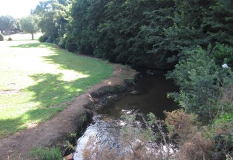 Waiokura at Manaia Golf Course