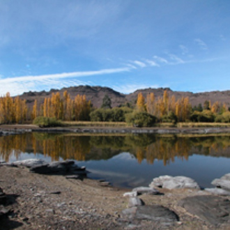 Otago region