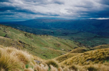 Roxburgh
