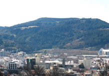 Dunedin