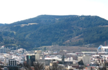Dunedin