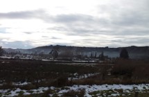 Reefton
