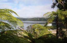 Rotorua