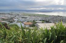 Tahunanui