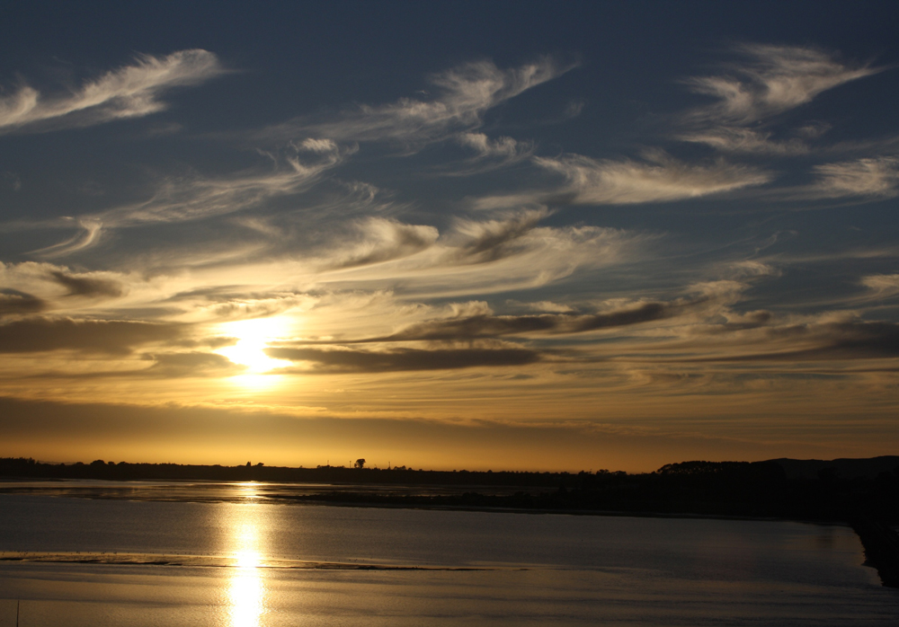 Bay of Plenty region