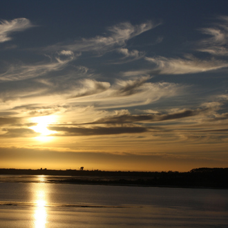 Bay of Plenty region