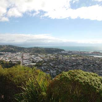 Nelson region