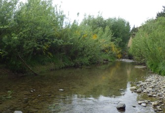 Grey River at Mt Grey Road