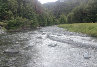 Andrews Stream at Mt White Road