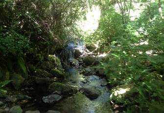 Aylmers Stream at Aylmers Valley Road