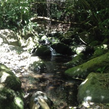 Balguerie Stream