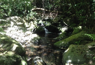 Balquerie Stream at Stony Bay Road