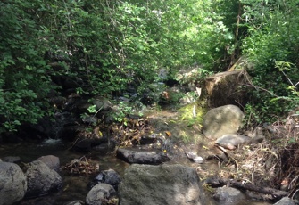 Balquerie Stream at Balquerie Road