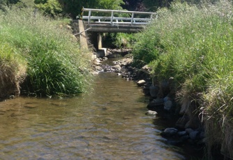 Barrys Bay Stream at Barrys Bay Valley Road