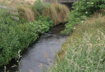 Birdlings Brook at Lochheads Road