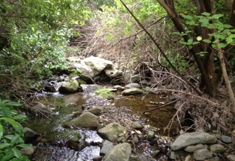 Black Miller Stream at SH1