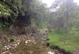 Blue Duck Creek