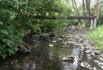 Charteris Bay Stream at Charyeris Bay Road