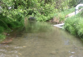 Cust River at Tippings Road