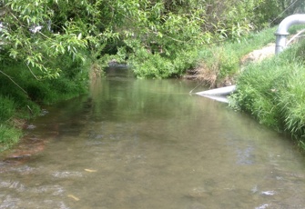 Cust River at Tippings Road
