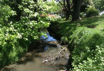 Dudley Creek cnr of Banks Ave and North Parade Drive