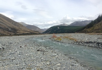 Forest Creek