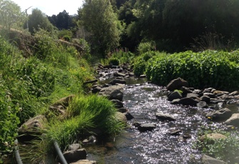 French Farm Stream at Winery