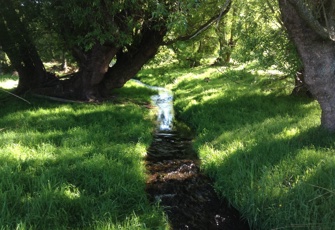 Glenfield Stream at SH79