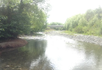 Hanmer River Upstream