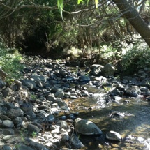 Hukahuka Turoa Stream 