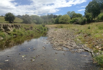 Limestone Stream Upstream
