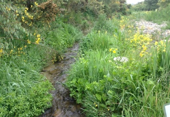 Makikihi River Downstream